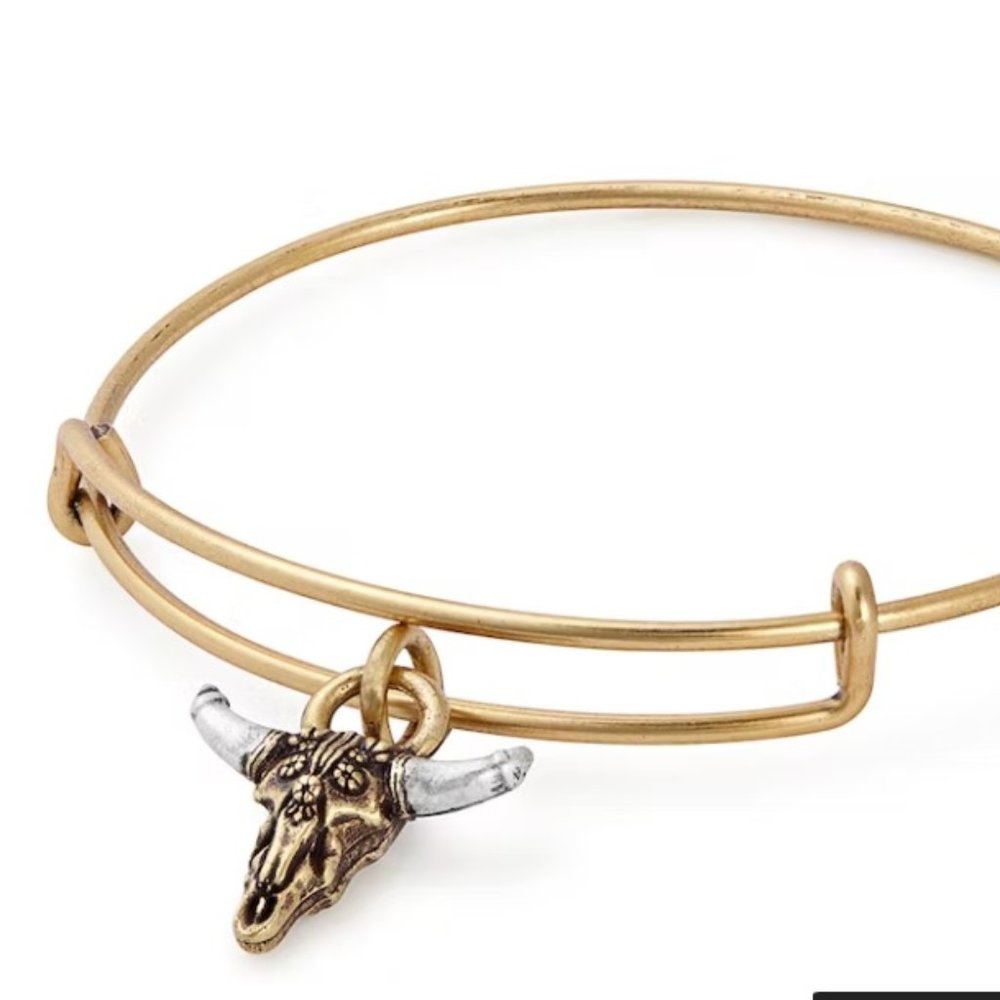 Alex Ani Spirited Skull Charm Wire Bracelet Boho NWT
